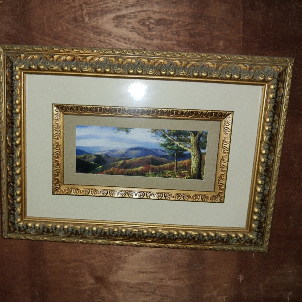 Pictures